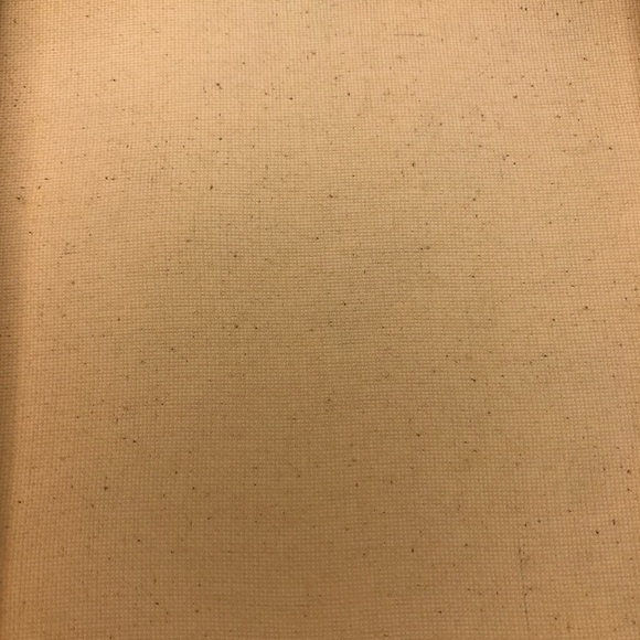 Colourful Patch of Mushrooms on an 8”x10” Painted Stretched Canvas w/ Acrylics. - Picture 6 of 6